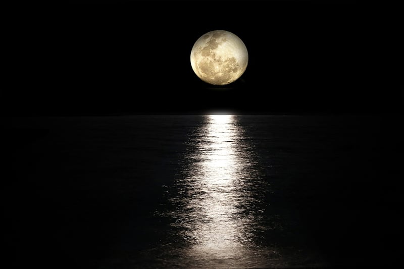Moonlit Romance Decor